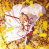  FlowersMiss