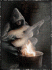  Stalker215