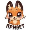 ���� Gold_Fox2017