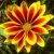  leonid.turcan.9