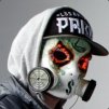  DJdionex