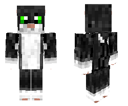  Black Cat  minecraft