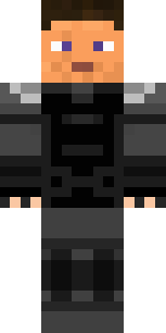   Survive  minecraft