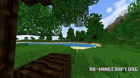  Pine island  minecraft