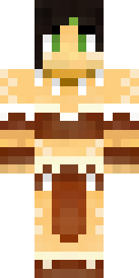   Player  minecraft