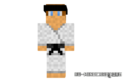  Karate Sensei  minecraft
