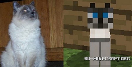  Catish Language Pack  Minecraft 1.6.4