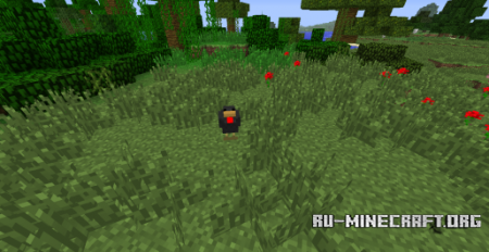 Скачать Mo' Chickens! для Minecraft 1.7.10 Скачать Mo' Chickens! для Minecraft 1.7.10