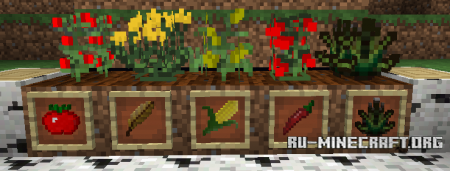  Mexican Mod  Minecraft 1.7.10