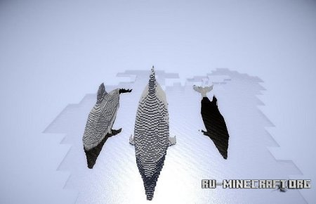   Dolphin Pack  Minecraft