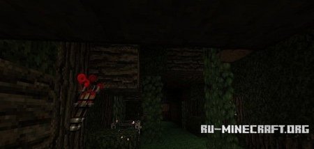   The Soul Collector  Minecraft