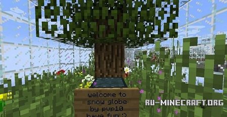   snow globe  Minecraft