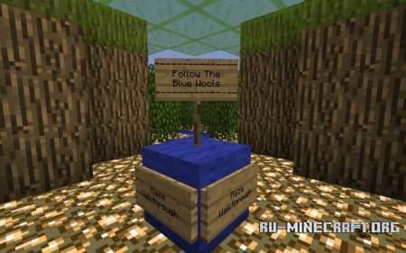  Leaf Maze [Difficulty - Hard]  Minecraft