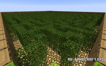  Leaf Maze [Difficulty - Hard]  Minecraft
