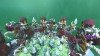  The Land of The Tired Souls  Minecraft