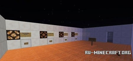  Questioner    minecraft