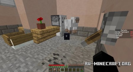  My Pet Rock  Minecraft