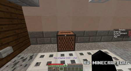  My Pet Rock  Minecraft
