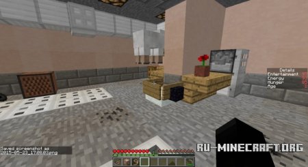  My Pet Rock  Minecraft