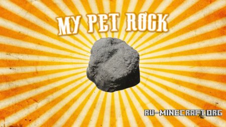  My Pet Rock  Minecraft