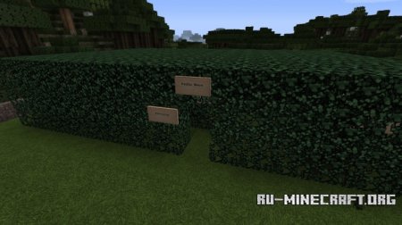 Скачать Modernized Mansion для Minecraft