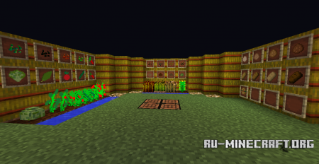  Mo Food  Minecraft 1.8.8