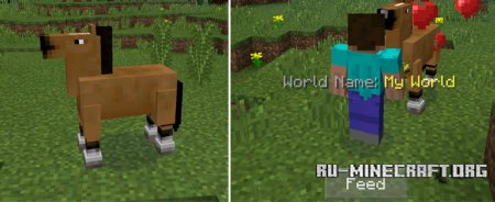  Horses  Minecraft PE 0.14.0