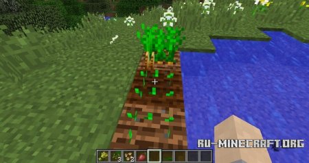  Reap  Minecraft 1.9.4