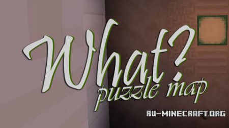  What? Puzzle  Minecraft