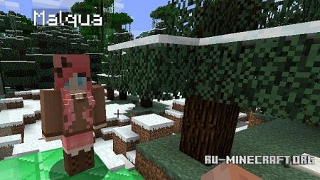  iPixelis Gender  Minecraft 1.10.2