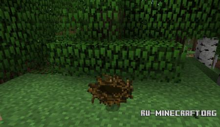  Birds Nests  Minecraft 1.10.2