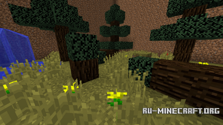  Find the Button: The Extreme  Minecraft