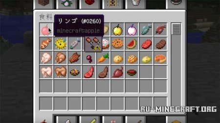  AppleSkin  Minecraft 1.11.2