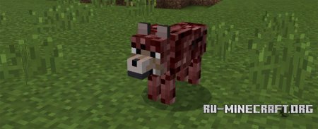  The Nether Caster  Minecraft PE 1.0.0