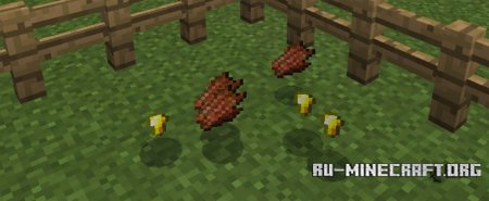 Скачать NetherCaster для Minecraft PE 1.0.0