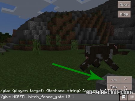  Autocompletion  Minecraft PE 1.0.0