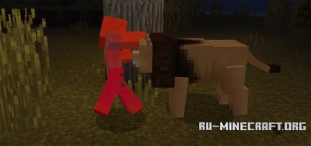  Lions  Minecraft PE 1.0.0
