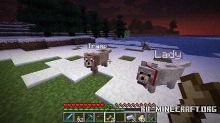 Скачать Sophisticated Wolves для Minecraft 1.11.2