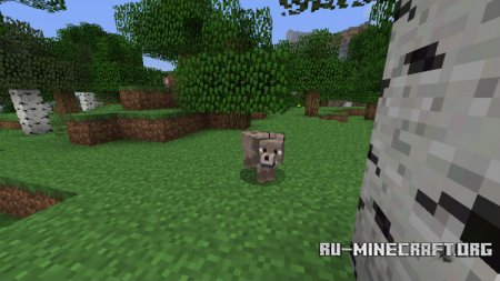 Скачать Sophisticated Wolves для Minecraft 1.11.2