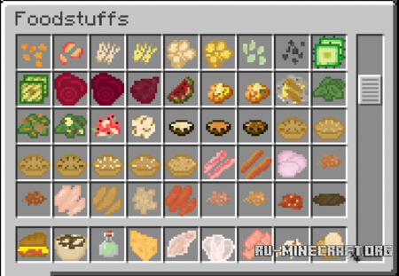 Birds Foods  Minecraft 1.12
