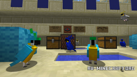 ������� Find The Button Then Fight ��� Minecraft