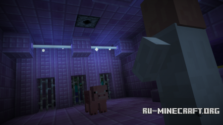  Trayaurus's Zombie Experiment  Minecraft