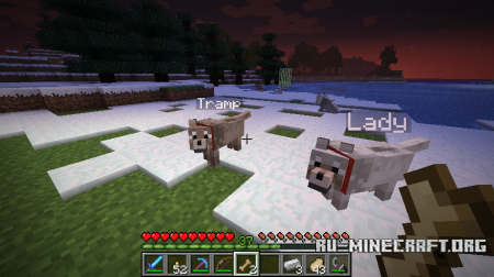  Sophisticated Wolves  Minecraft 1.12.2
