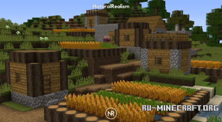  Natural Realism [16x]  Minecraft 1.13