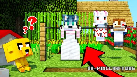  Clothesline  Minecraft 1.12.2