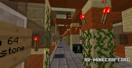  Skyblock Platinum  Minecraft