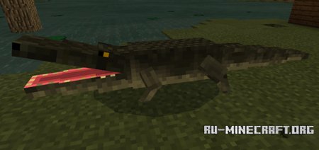  Alligator  Minecraft PE 1.9