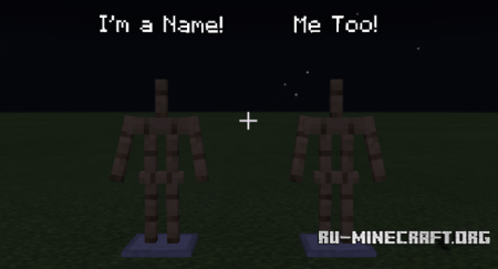  Always Show Nametags  Minecraft PE 1.10