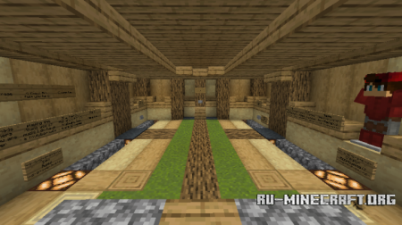������� What is Wrong ��� Minecraft