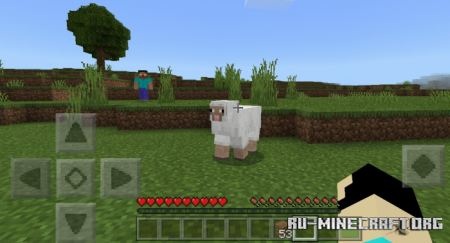  Herobrine Experience  Minecraft PE 1.13